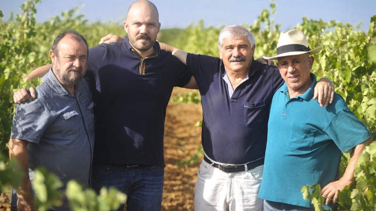Emilio Viejo y su hijo Alberto, con sus socios Chenco Valbuena y Nacho Morejón, en el viñedo que la bodega tiene en Mayorga. A. VIEJO