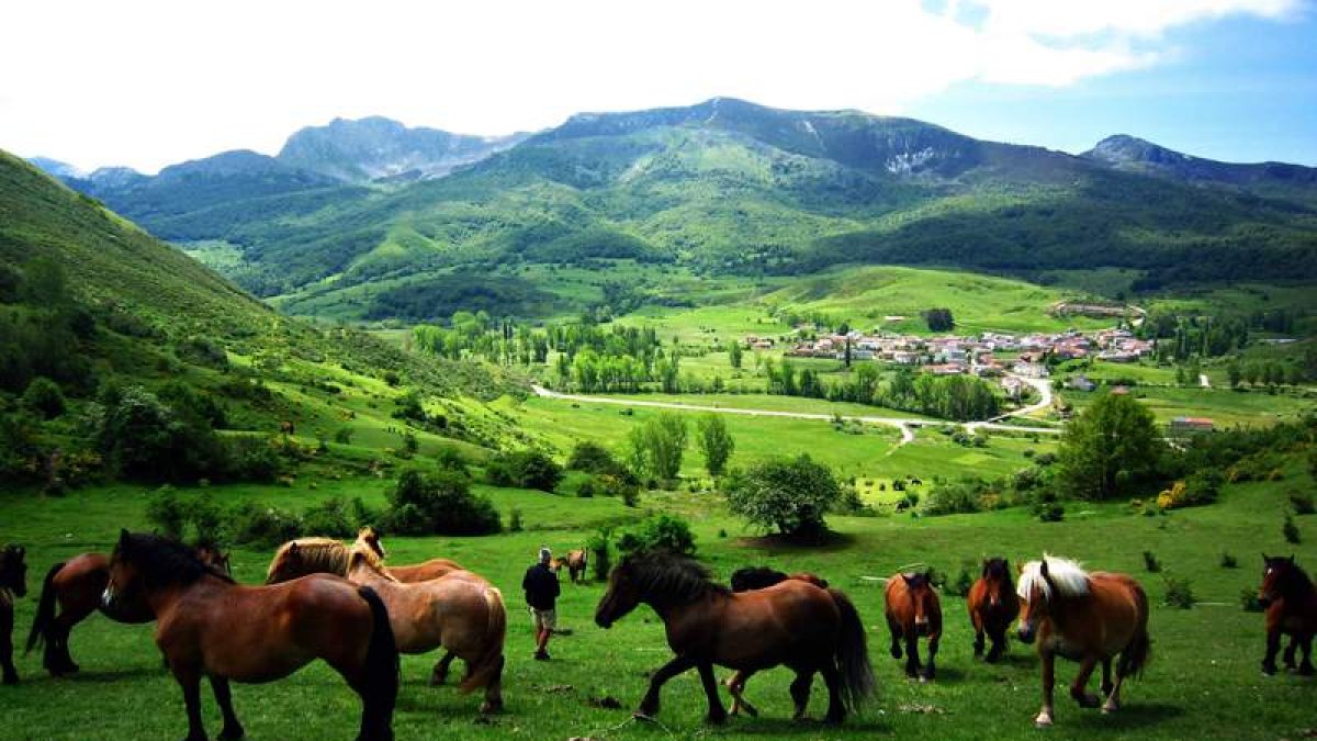 Ayuntamiento y Junta Vecinal de Acebedo —con la colaboración de Betula Ingeniería— han puesto en valor la Ruta de El Saltadero. Otros tesoros que pueden visitarse en la zona son el Mirador de la Valleja o el Macizo de Mampodre.