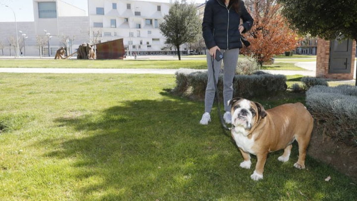 Un perro en una zona verde del barrio de Eras de Renueva. RAMIRO