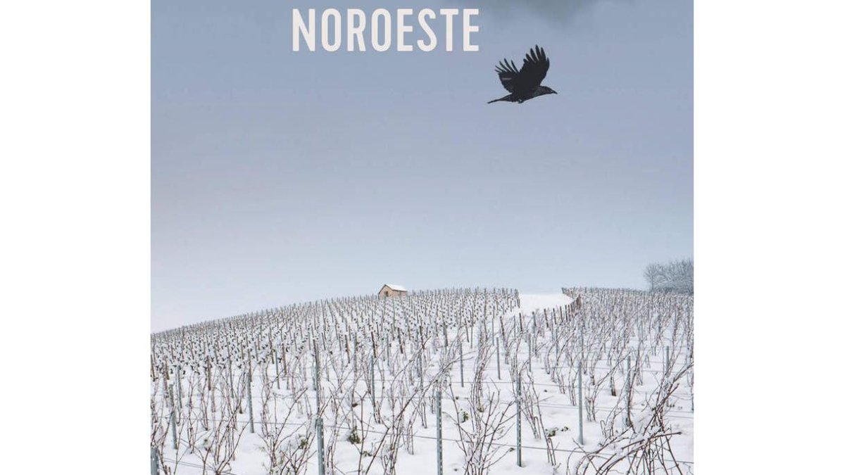 portada de ‘pájaro del noroeste’(alianza). Diseño de pep carrió