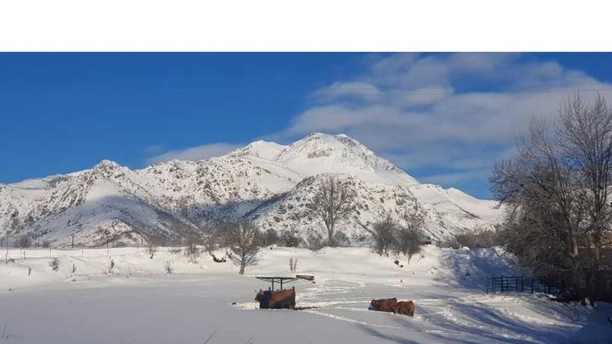 nieveeee