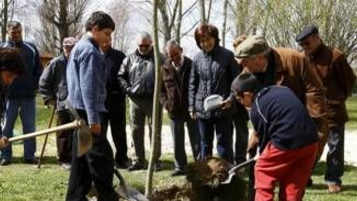 Pequeños y mayores se mezclaron en el parque de La Candamia de la capital para plantar los 6 fresnos