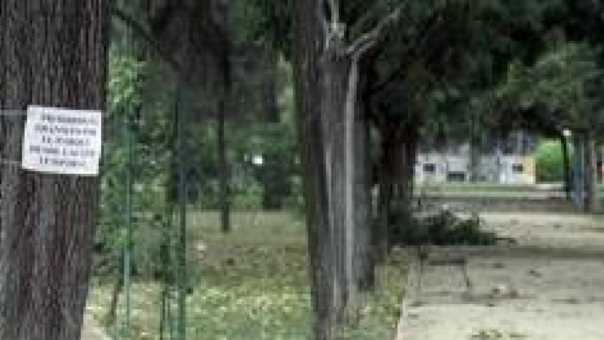 Una imagen del parque del Plantío tras el paso del ciclón «Gordon» que zarandeó los árboles