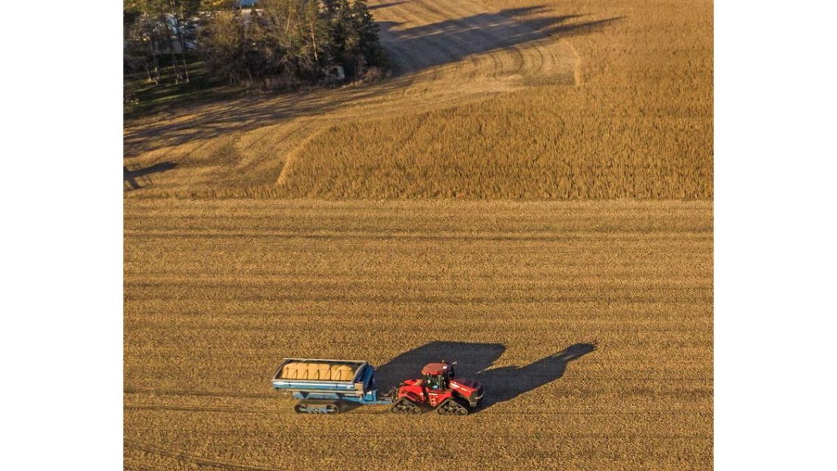 Una tractor en una explotación de cereal. efe