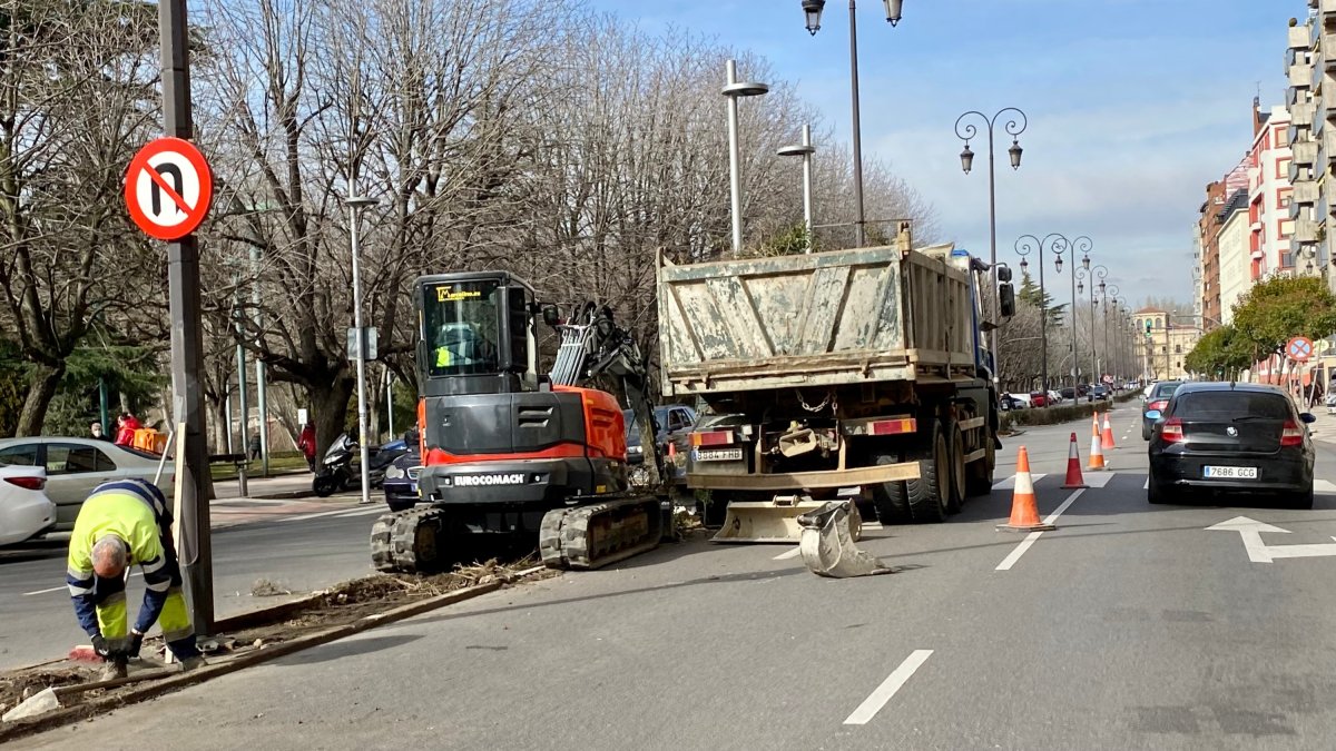 Las obras para retirar los setos de la mediana de La Condesa para cambiarlos por césped artificial comenzaron esta mañana. DL