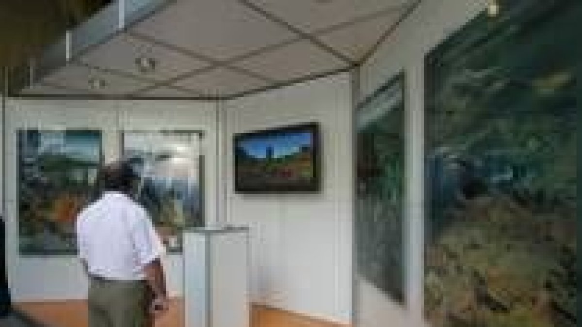 Un visitante contempla uno de los stands de la exposición itinerante Parques Nacionales