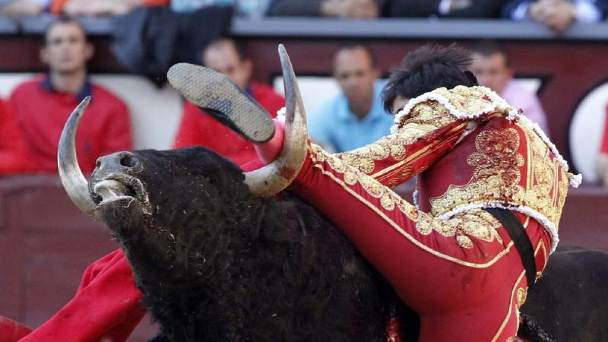 Perera sufre un revolcón en la faena con la muleta.