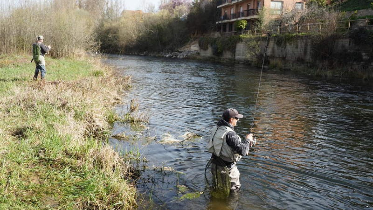 La temporada de pesca en los ríos leoneses está transcurriendo en clave positiva. J. NOTARIO