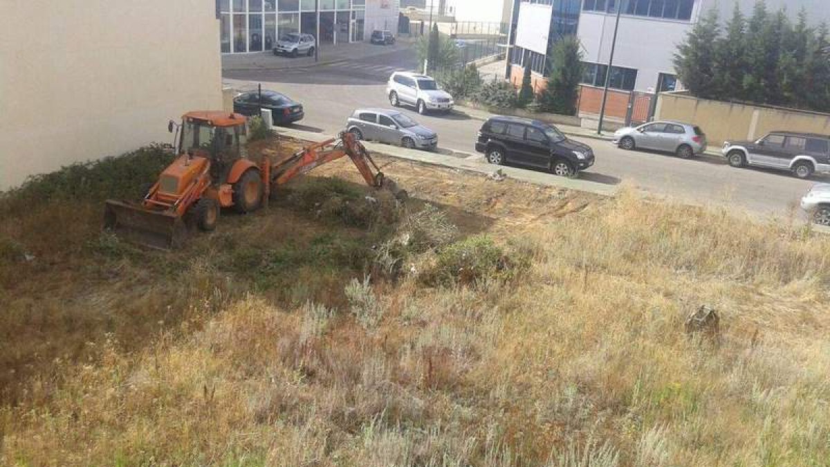 Una máquina trabaja en el desbroce y acondicionamiento de un solar del polígono industrial.
