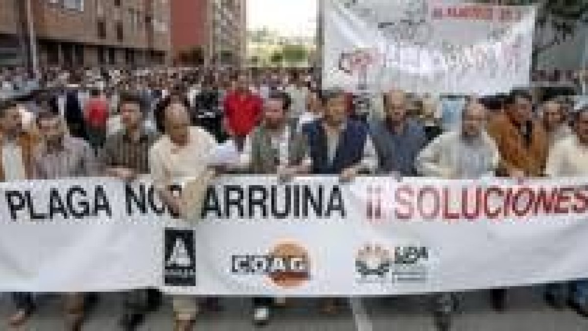 Los agricultores se manifiestan ante la Junta y la delegación del Gobierno por la plaga de ratones