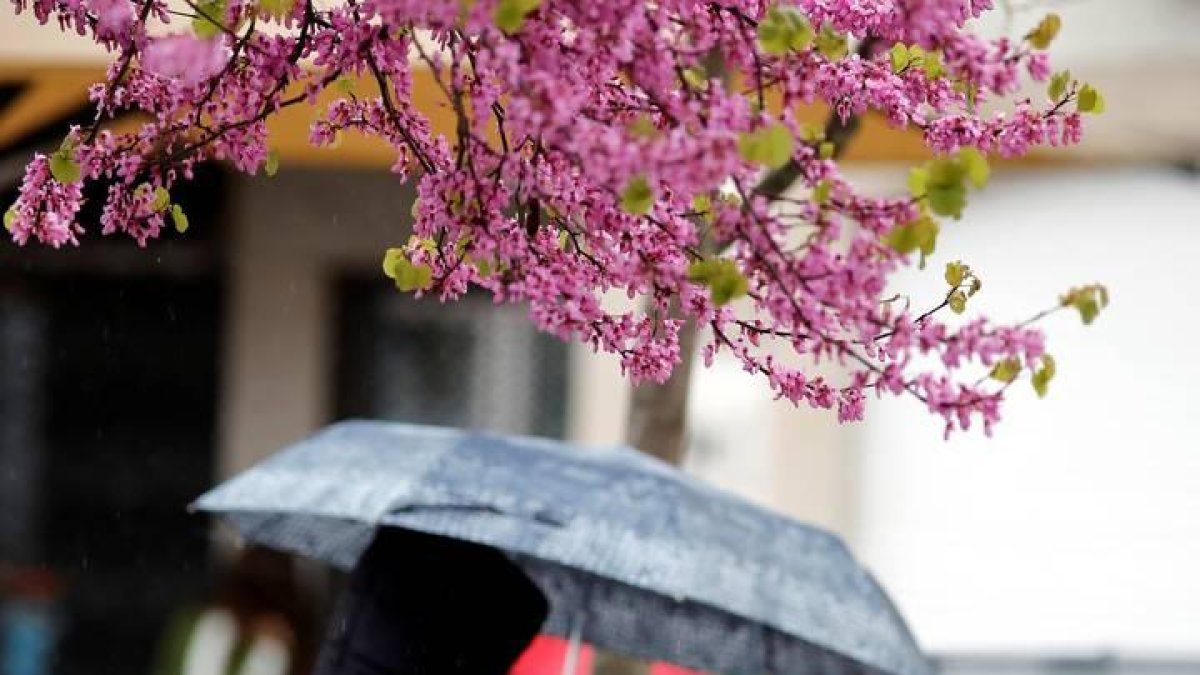 Una mujer se resguarda de la lluvia bajo su paraguas