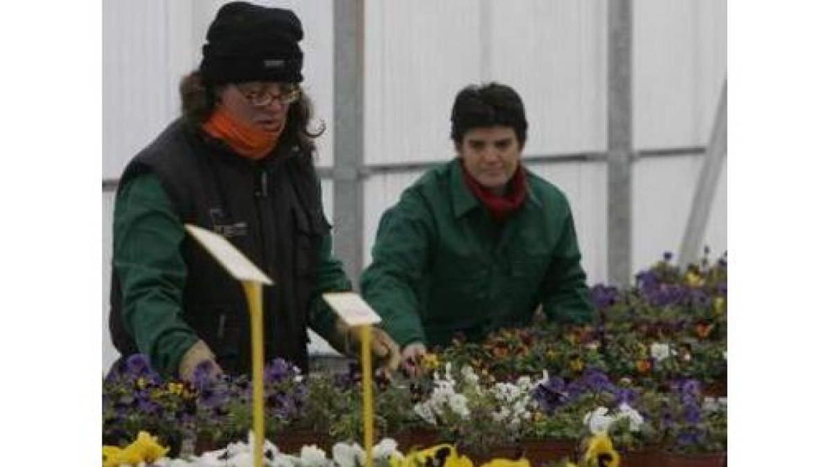 Asprona Bierzo construirá el centro de día en el poblado de Compostilla