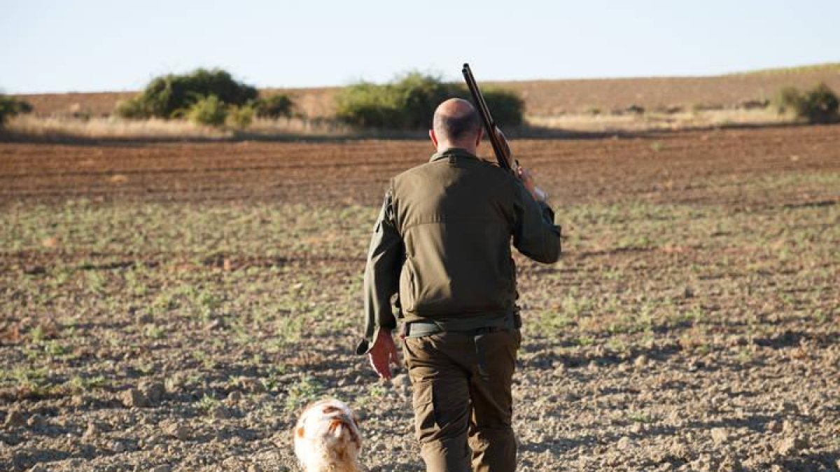 Un cazador  durante el inicio de la media veda de caza en Castilla y Leó