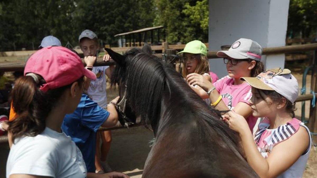 Los animales son el gran atractivo para los niños que van al Coto Escolar.