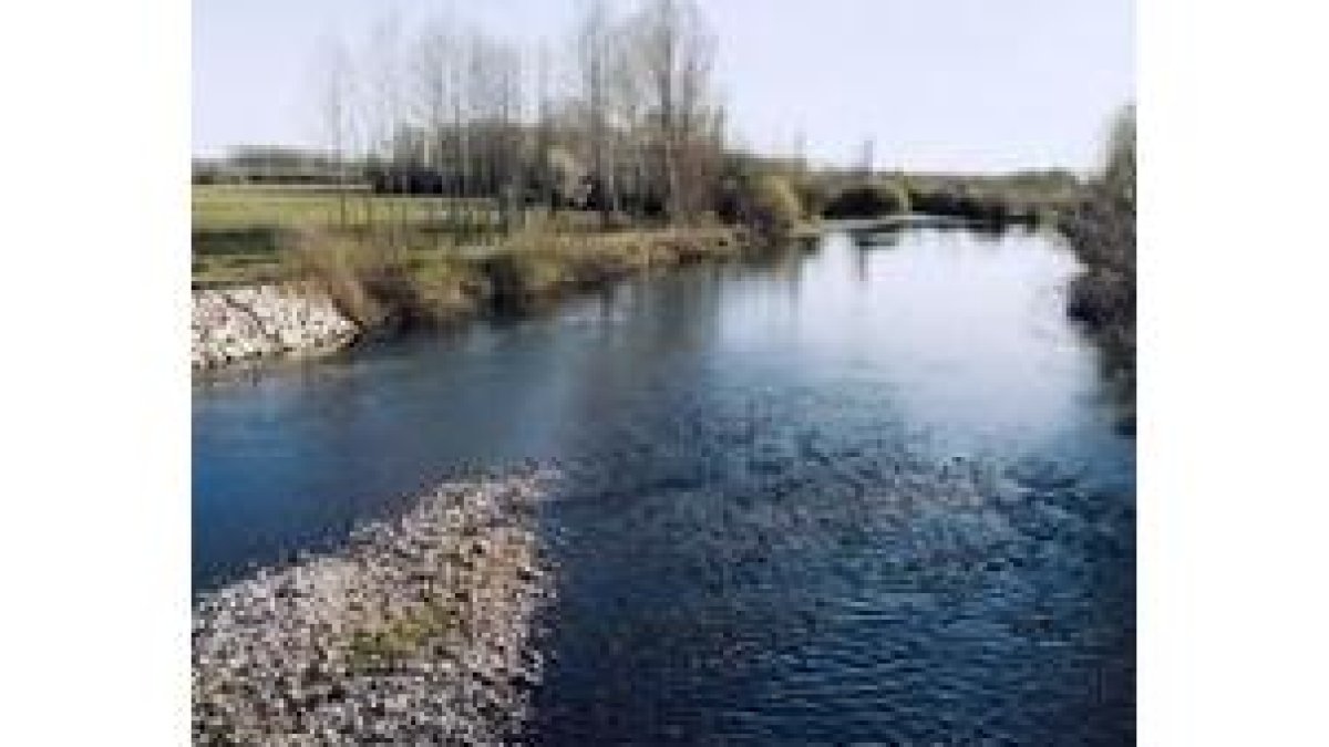 El río Esla a su paso por las inmediaciones de Gradefes