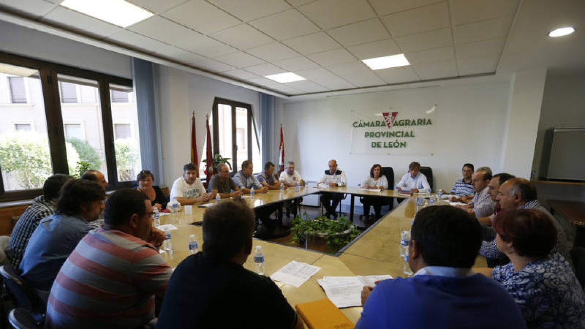El pleno celebrado en septiembre decidió que la Cámara Agraria de León cesara su actividad