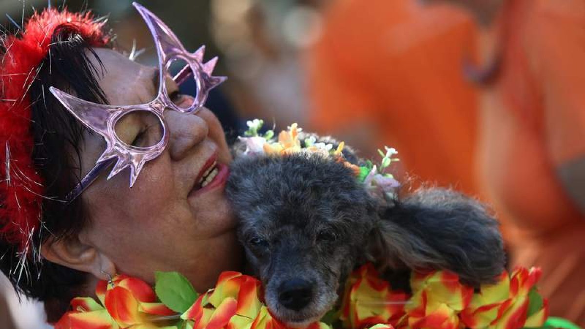 Una mujer disfrazada desfila con su perro por el popular paseo marítimo de Copacabana, en Río de Janeiro. MARCELO SAYAO