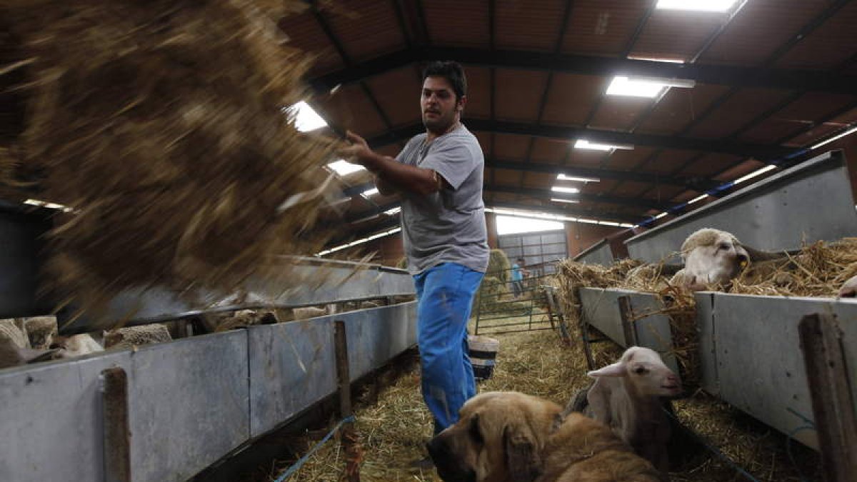 La agroalimentación se consolida como uno de los sectores con mayor peso para el futuro económico de la provincia.