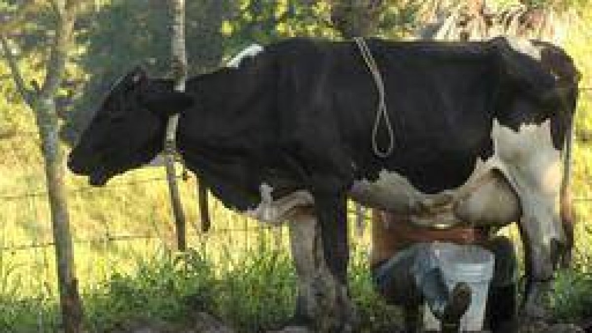 La proliferación de supermercados y grandes superficies hundió el negocio de estos tradicionales lecheros a domicilio.