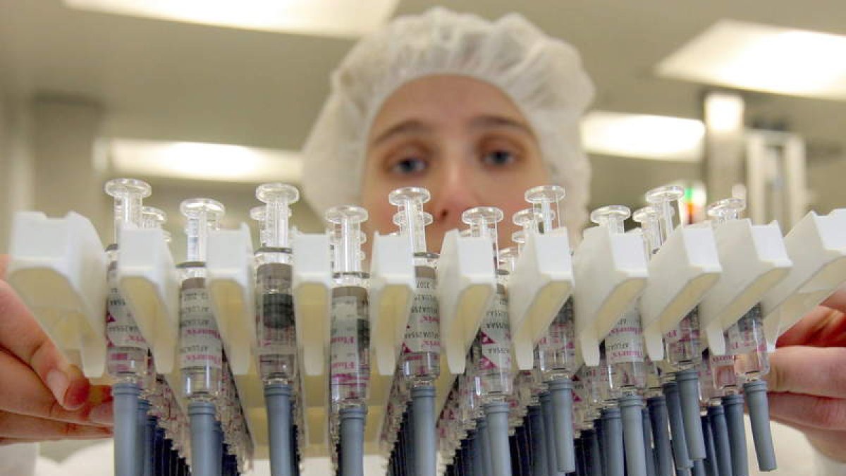 Muestra de jeringuillas para la gripe. MATTHIAS HIEKEL