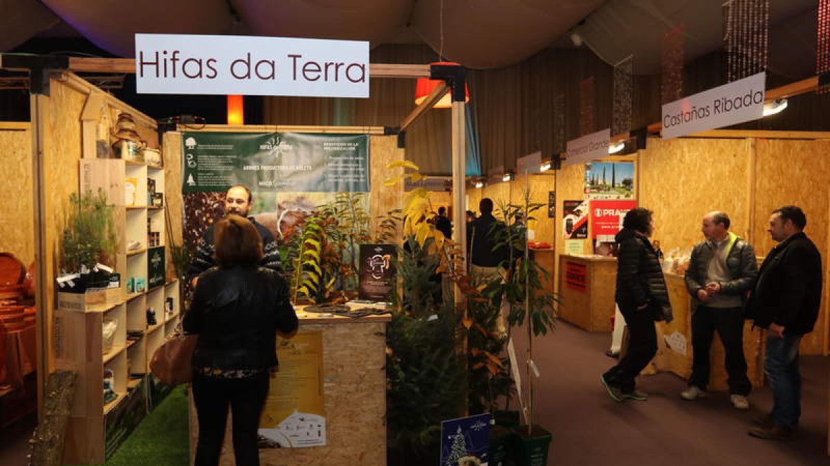 La Mesa del Castaño está satisfecha con Biocastanea. L. DE LA MATA