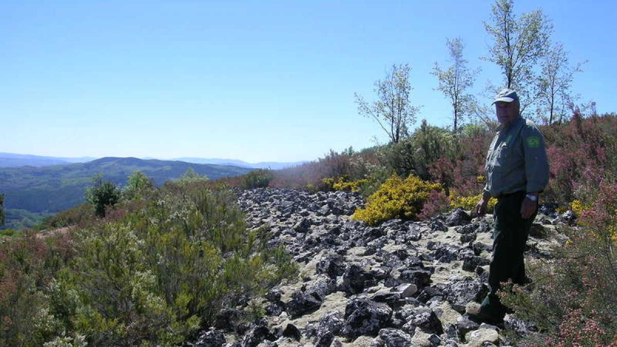 Muralla del castro Piñera, en el municipio de Vega de Espinareda.