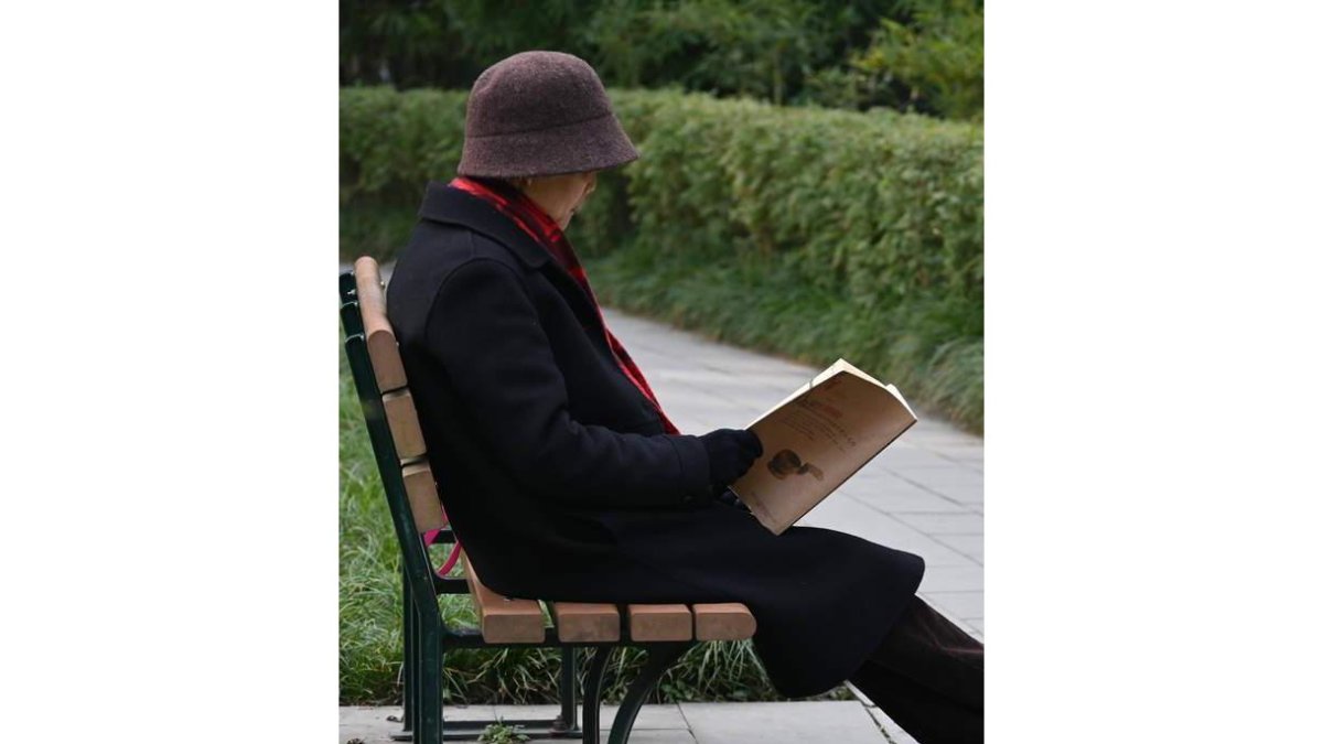 Una mujer lee en un parque. DL