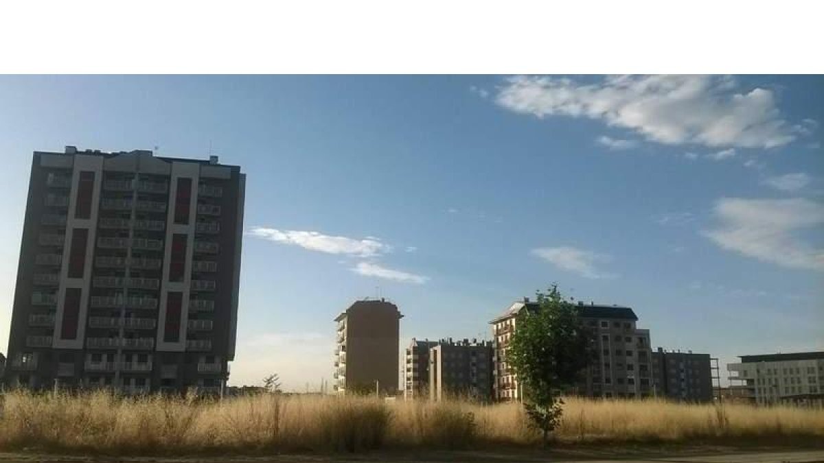 Imagen de solares atestados de maleza seca en el polígono de La Lastra. DL
