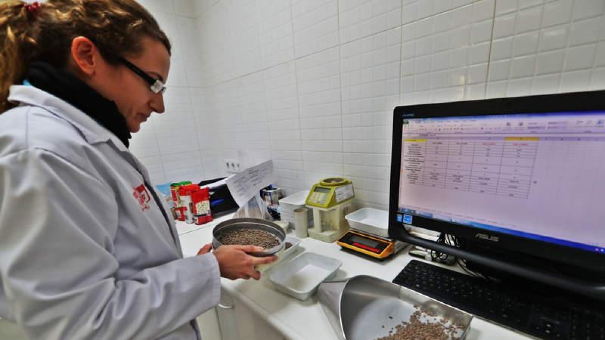 El proceso de producción y logística se moderniza y sigue un minucioso procedimiento de trazabilidad.