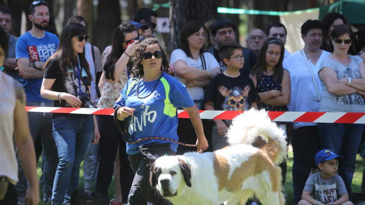 El parque acogió durante todo el día actividades con perros. LDM