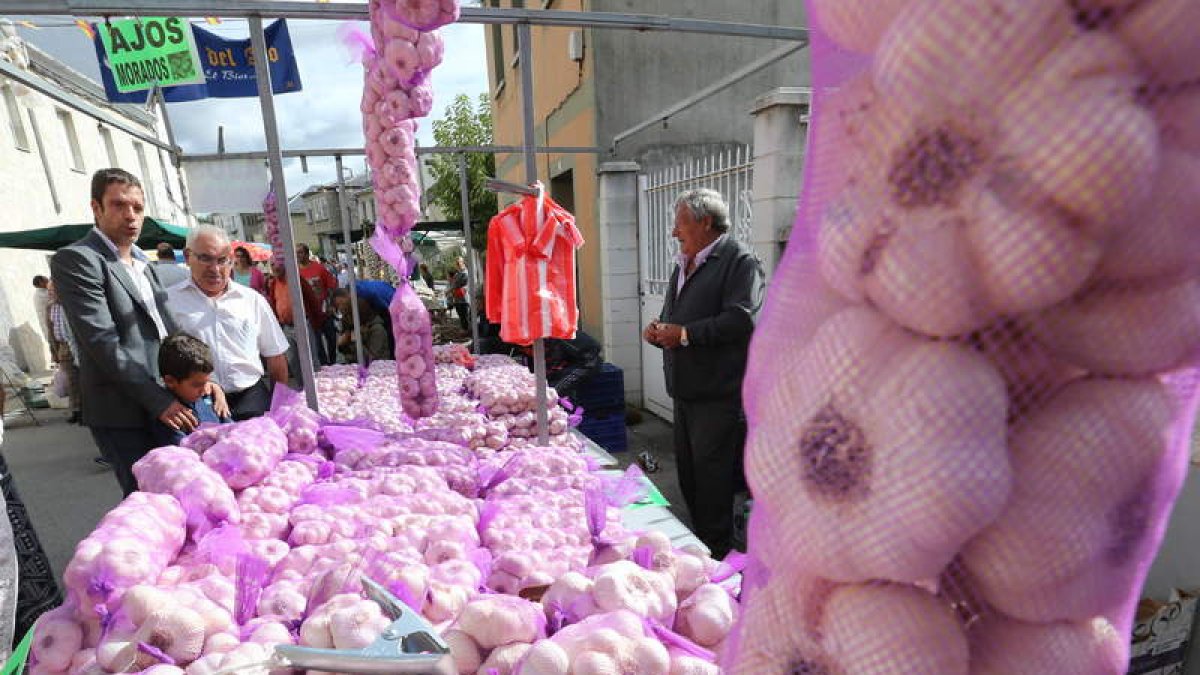 La Feria del Ajo de San Miguel de las Dueñas alcanzó este domingo su duodécima edición.