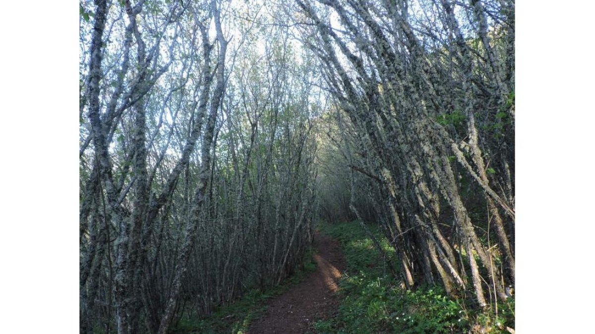 entremontañas