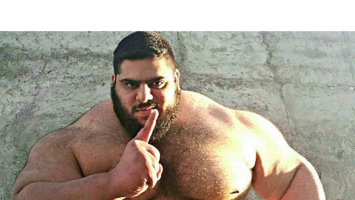 dl