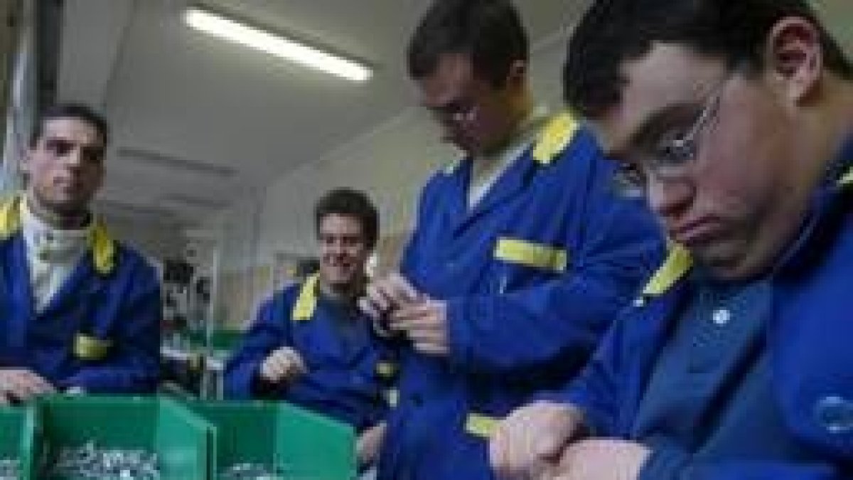 Los talleres de Soltra en La Virgen del Camino dan empleo a 125 personas con distinto grado de capac