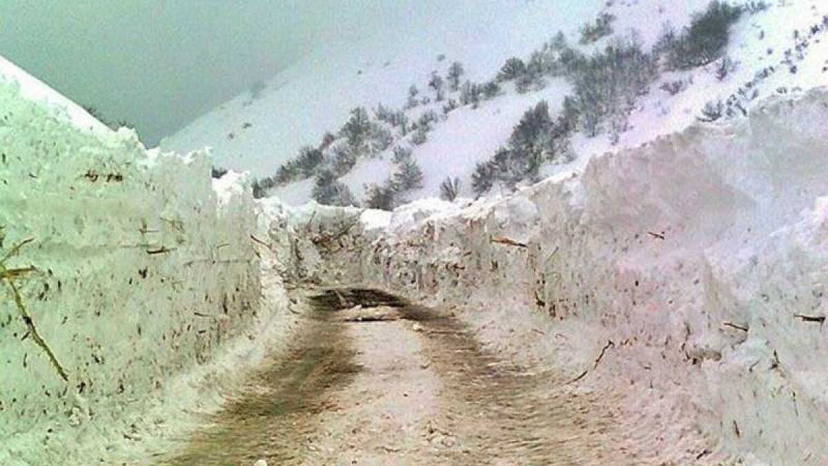 El alud creó un conglomerado de nieve, piedras, tierra y árboles sobre la carretera de León a Santander, cerca de Llánaves de la Reina.