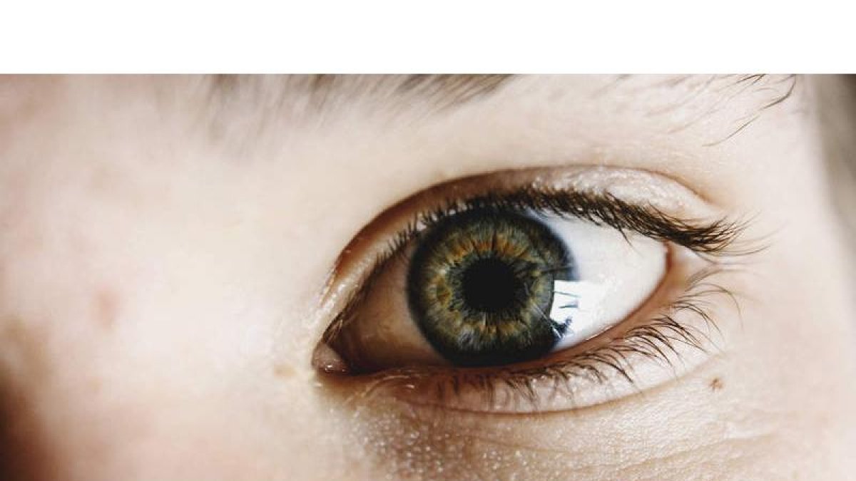 El glaucoma es una enfermedad oftalmológica que se asocia a la edad pero puede afectar a gente joven y de forma más agresiva. DL
