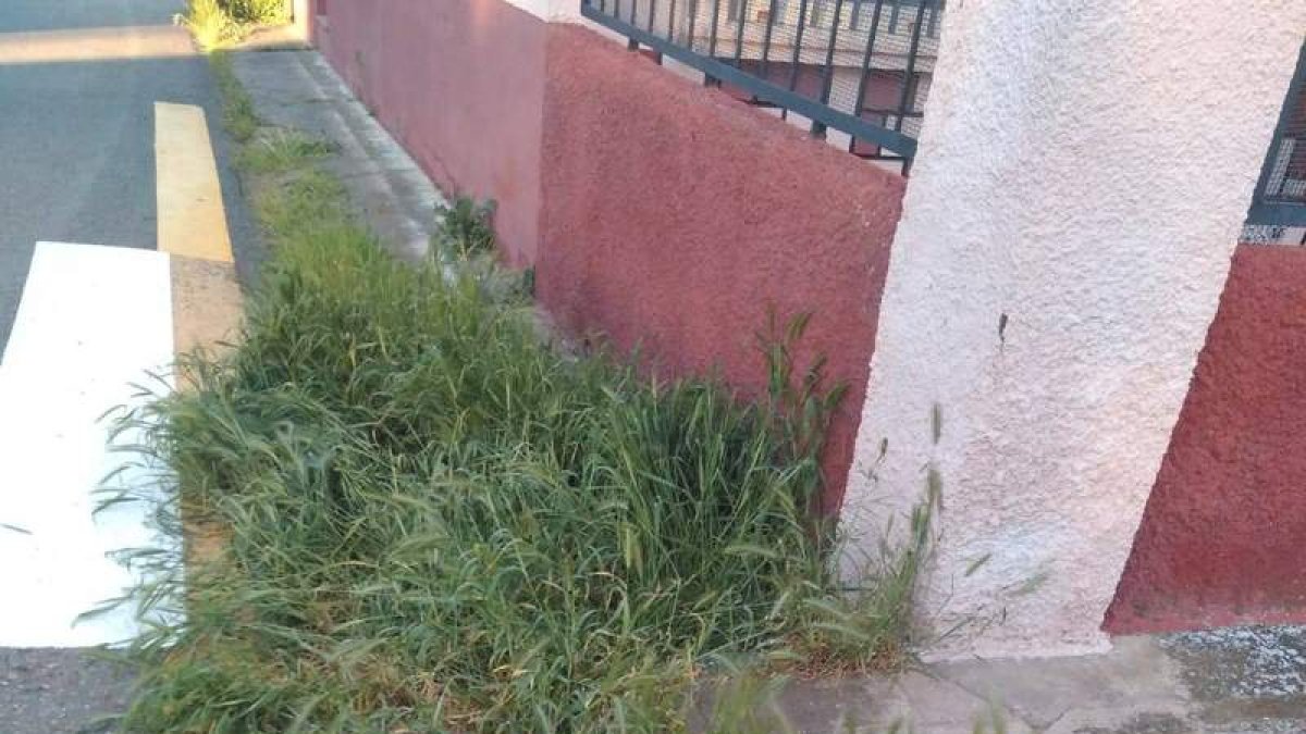 Imagen facilitada por los leonesistas de San Andrés.