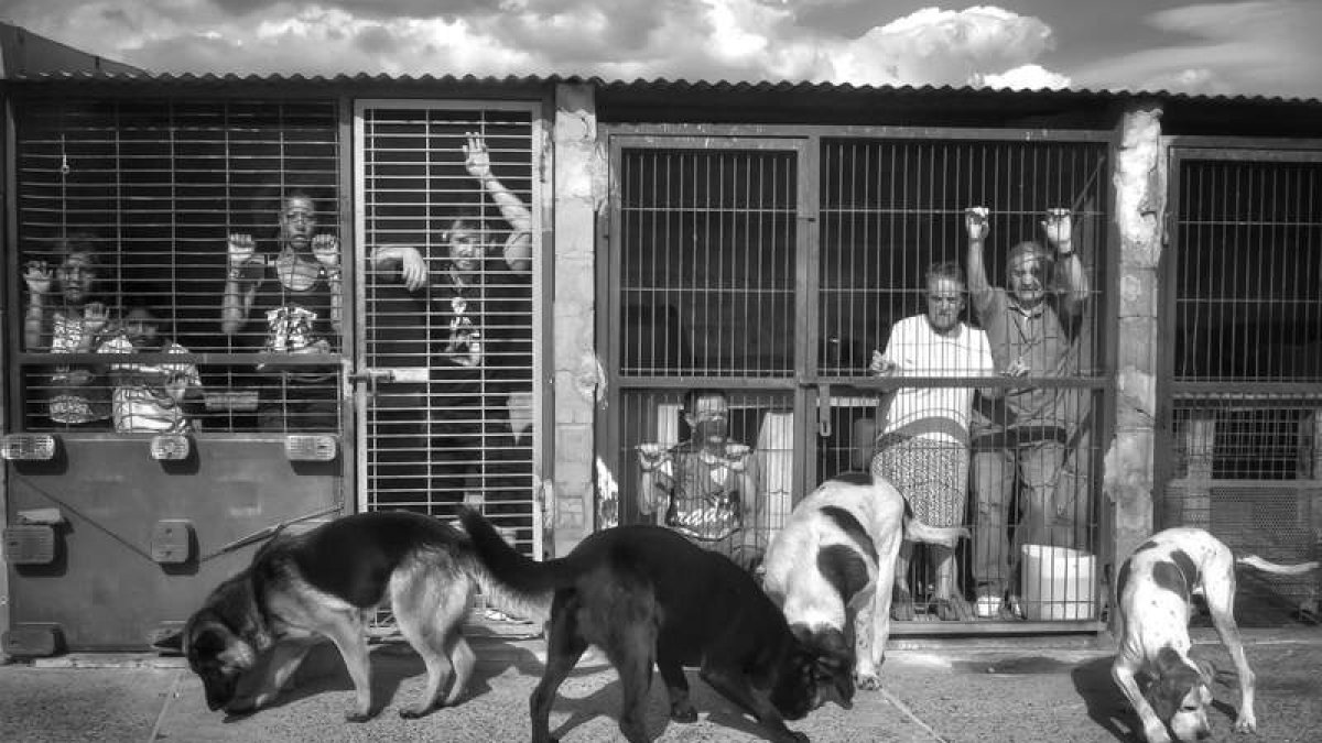 Una de las fotografías que compone la campaña ‘Ponte en su lugar’ de la Protectora de Animales y Plantas de León.