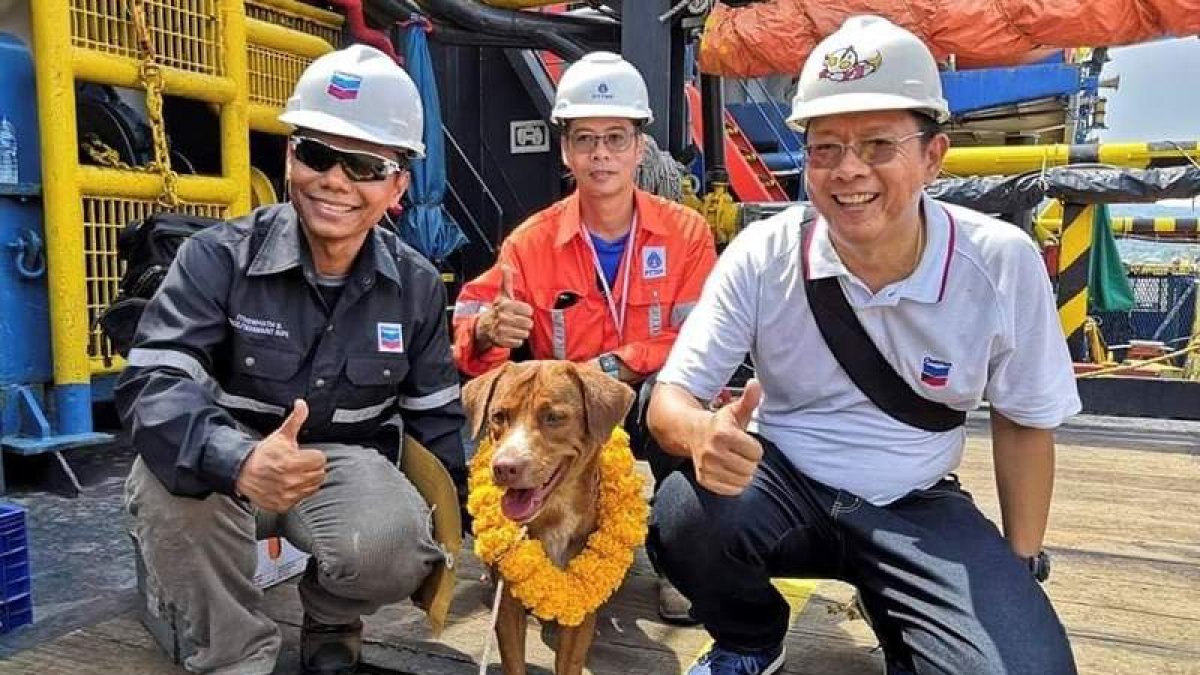 ONG Watchdog Thailand