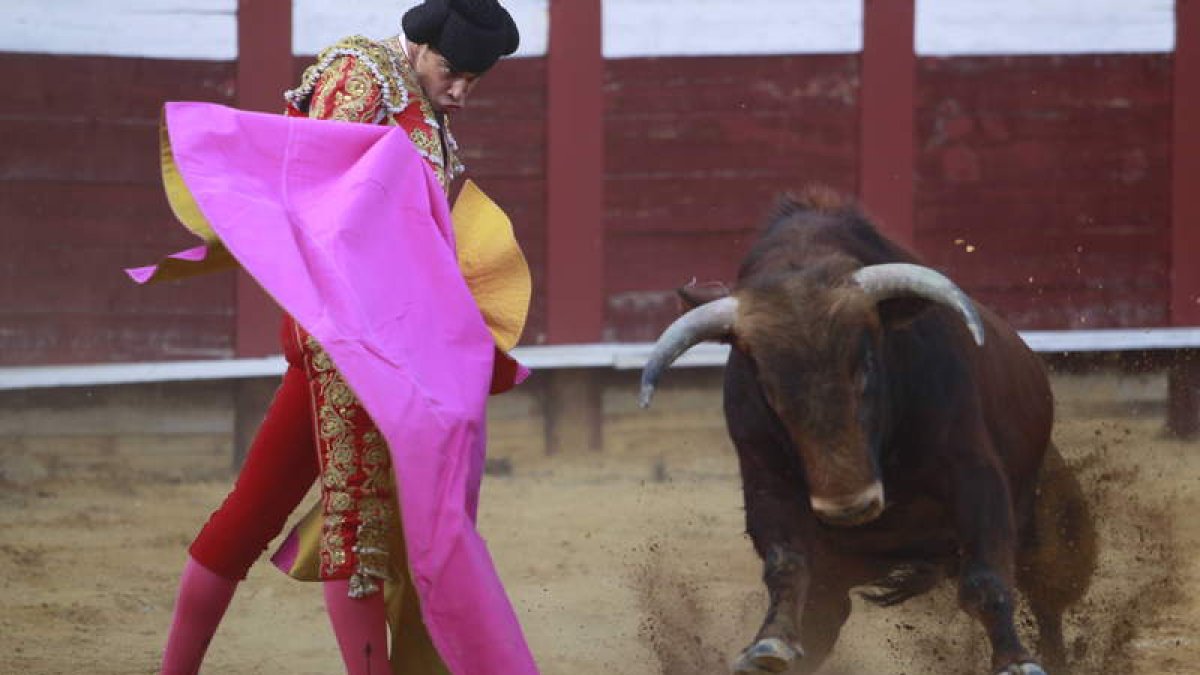 El vallisoletano Ricardo Maldonado torea a la verónica en Valencia de Don Juan .
