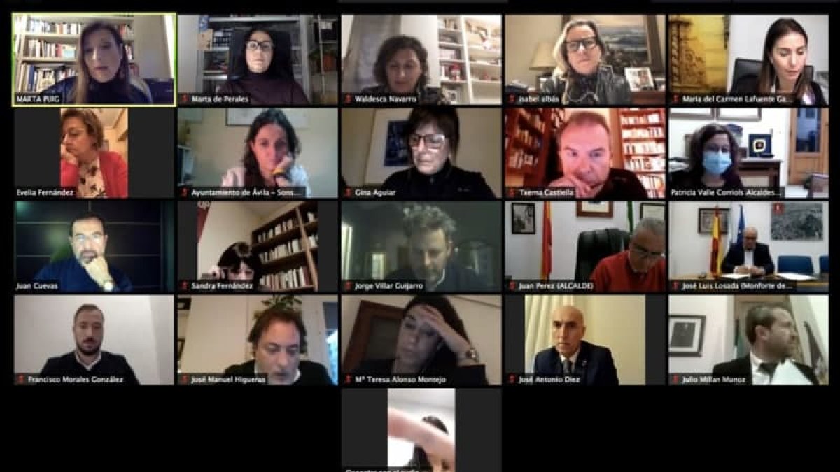 El encuentro se ha mantenido telemáticamente por videoconferencia. DL
