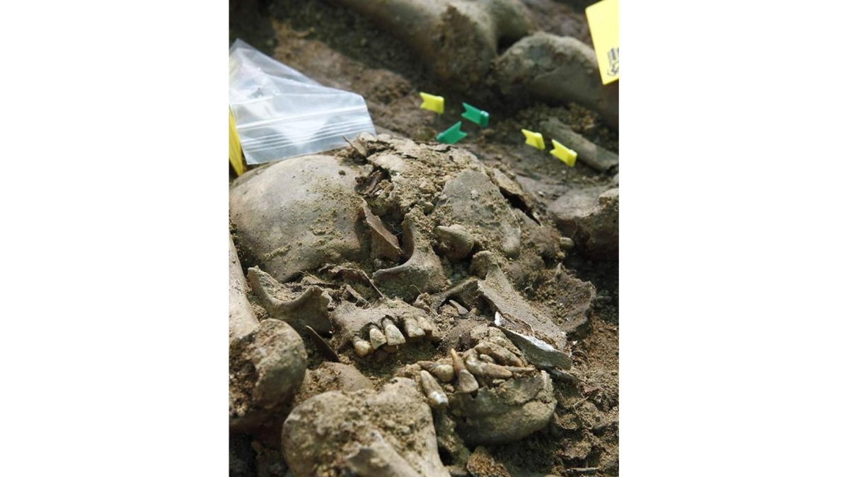 Esta calavera muestra indicios de haber sido golpeada.