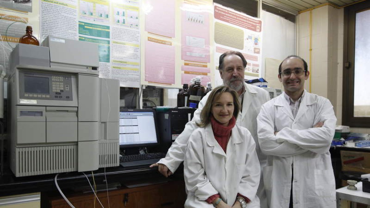 Vega Villar Suárez, Julio G. Prieto Fernández y Jaime Sánchez Lázaro forman el núcleo de la investigación.