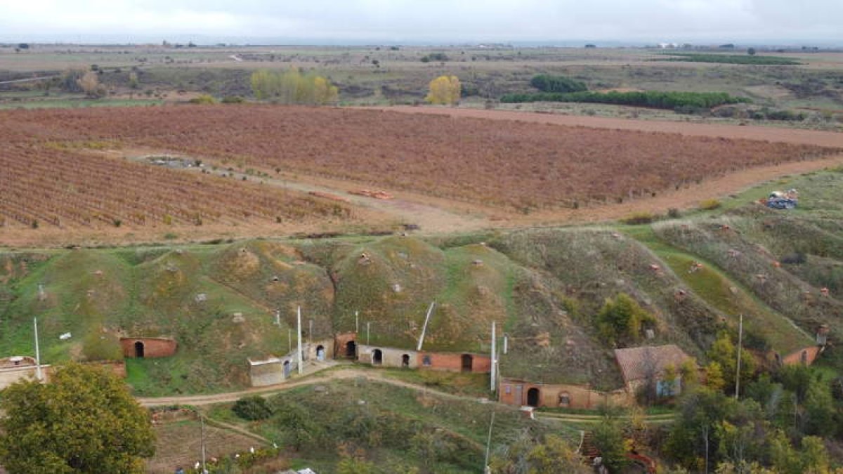 argüello