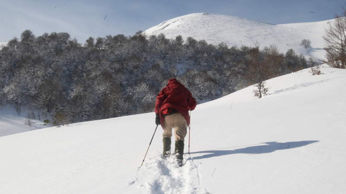 Las citas previstas en este circuito para el próximo mes comienzan en Vegarada el 7 de febrero. El 14 en Babia, el 28 la nocturna entre Burón y Retuerto, el 7 de marzo en Posada de Valdeón y el 14 en Tarna. (Más información en www.tesonserviciosdeportivos