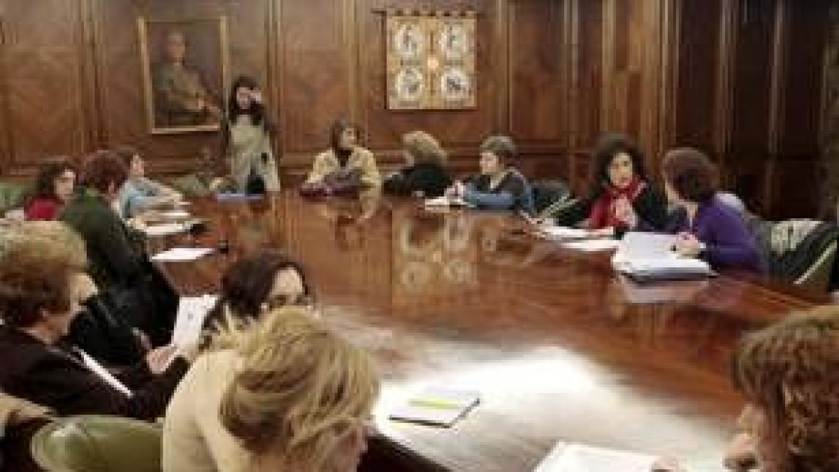 El Consejo de la Mujer está formado por políticas y organizaciones del sector
