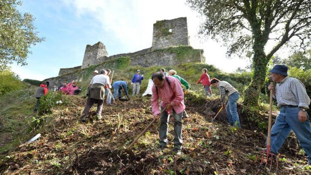 Más de treinta voluntarios ayudaron ayer a limpiar el acceso a la fortaleza medieval.