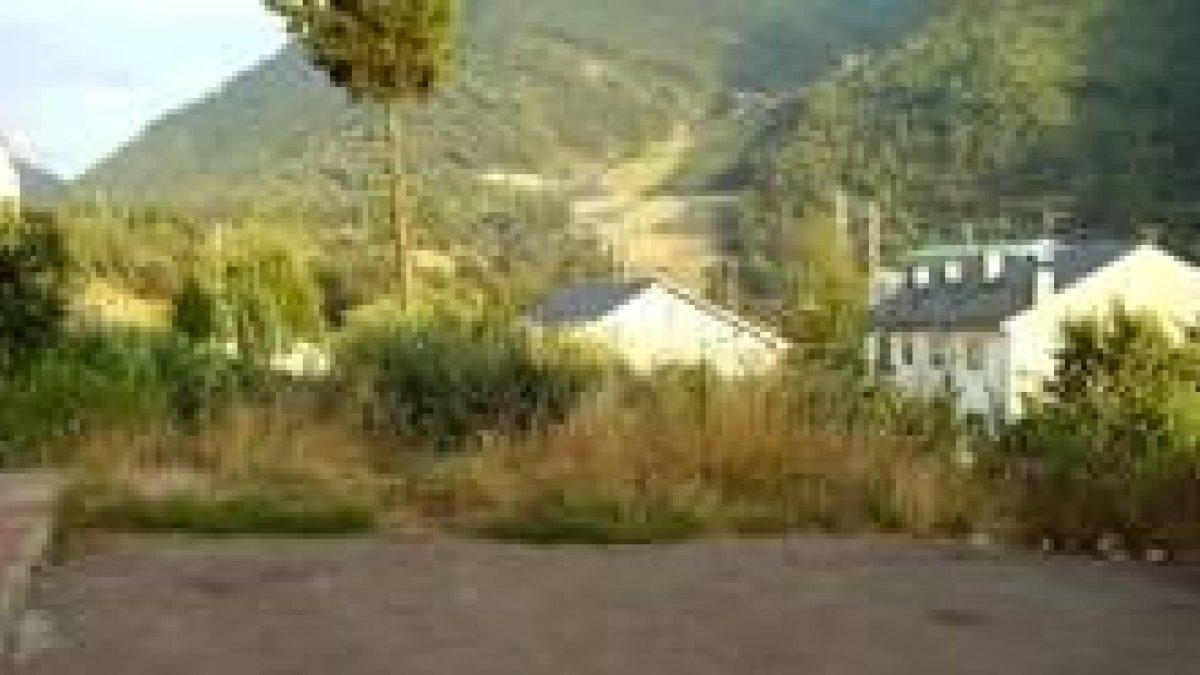 ARAUJO