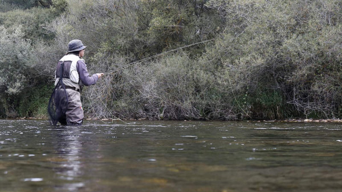 La temporada de pesca apunta a muy buenas perspectivas en los ríos de la provincia. FERNANDO OTERO