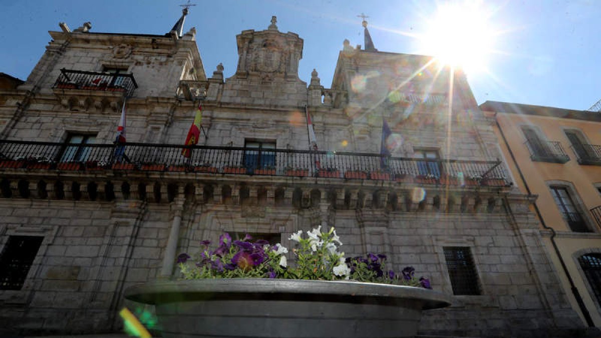 Uno de los maceteros de la plaza del Ayuntamiento. ANA F. BARREDO